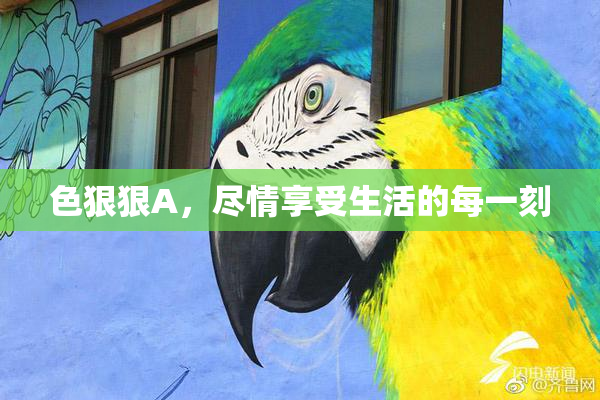 色狠狠A，尽情享受生活的每一刻
