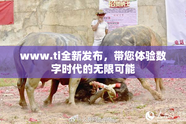 www.ti全新发布，带您体验数字时代的无限可能
