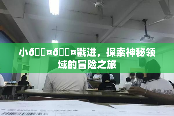 小🐤🐤戳进，探索神秘领域的冒险之旅