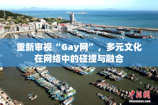 重新审视“Gay网”，多元文化在网络中的碰撞与融合