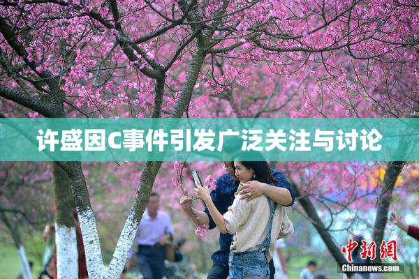 许盛因C事件引发广泛关注与讨论