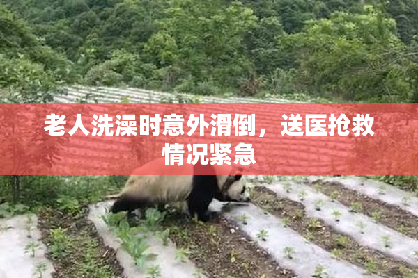 老人洗澡时意外滑倒，送医抢救情况紧急