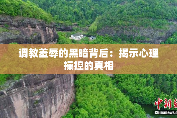调教羞辱的黑暗背后：揭示心理操控的真相