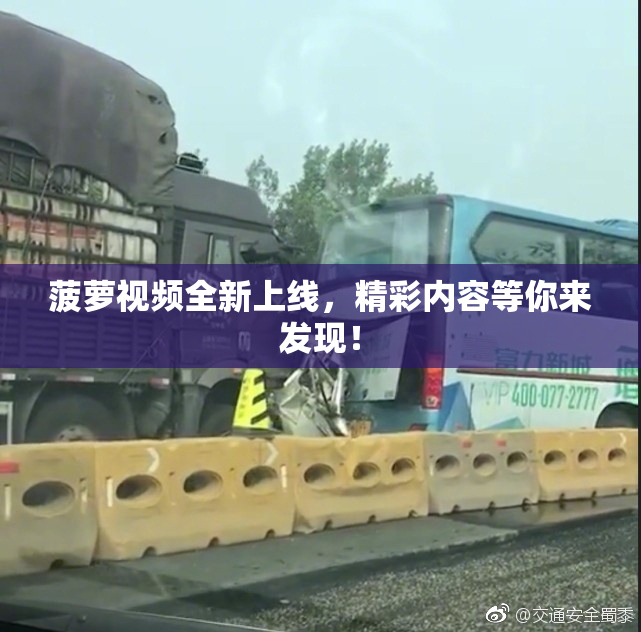 菠萝视频全新上线，精彩内容等你来发现！