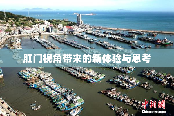 肛门视角带来的新体验与思考