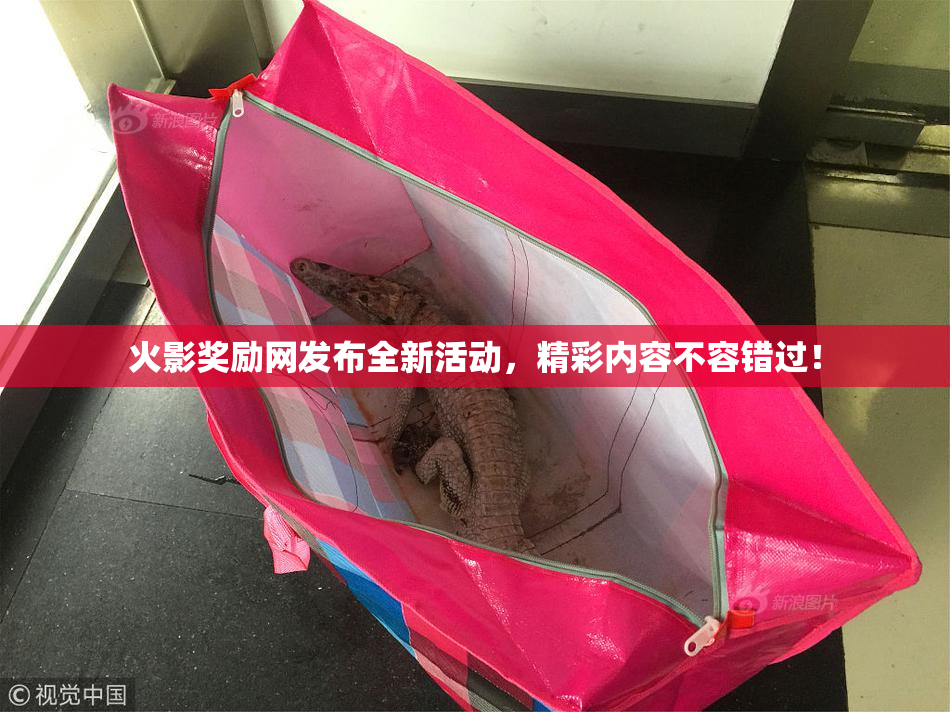 火影奖励网发布全新活动，精彩内容不容错过！