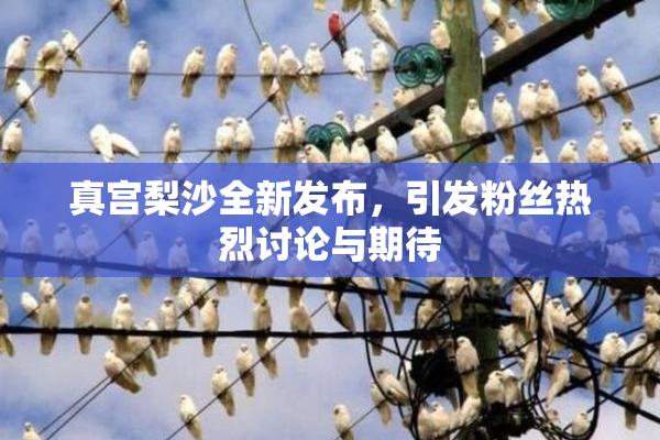 真宫梨沙全新发布，引发粉丝热烈讨论与期待
