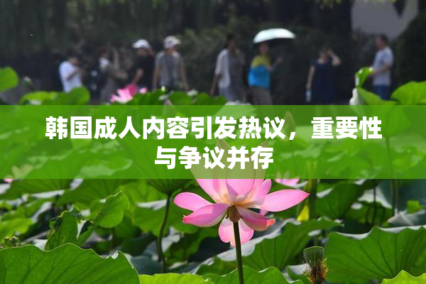 韩国成人内容引发热议，重要性与争议并存