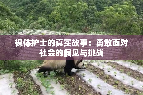 裸体护士的真实故事：勇敢面对社会的偏见与挑战