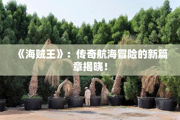 《海贼王》：传奇航海冒险的新篇章揭晓！