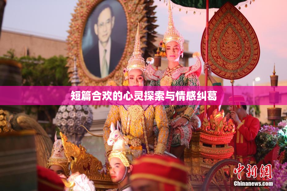 短篇合欢的心灵探索与情感纠葛