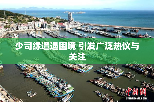 少司缘遭遇困境 引发广泛热议与关注