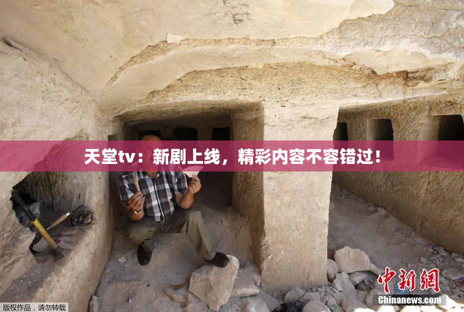 天堂tv：新剧上线，精彩内容不容错过！