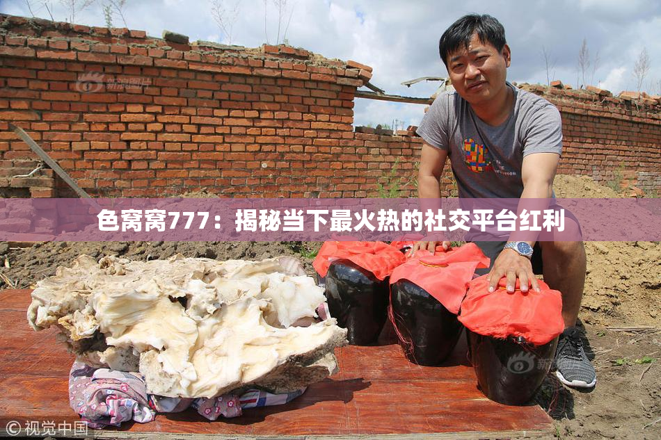 色窝窝777：揭秘当下最火热的社交平台红利