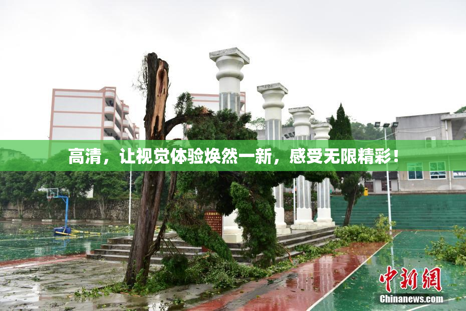 高清，让视觉体验焕然一新，感受无限精彩！