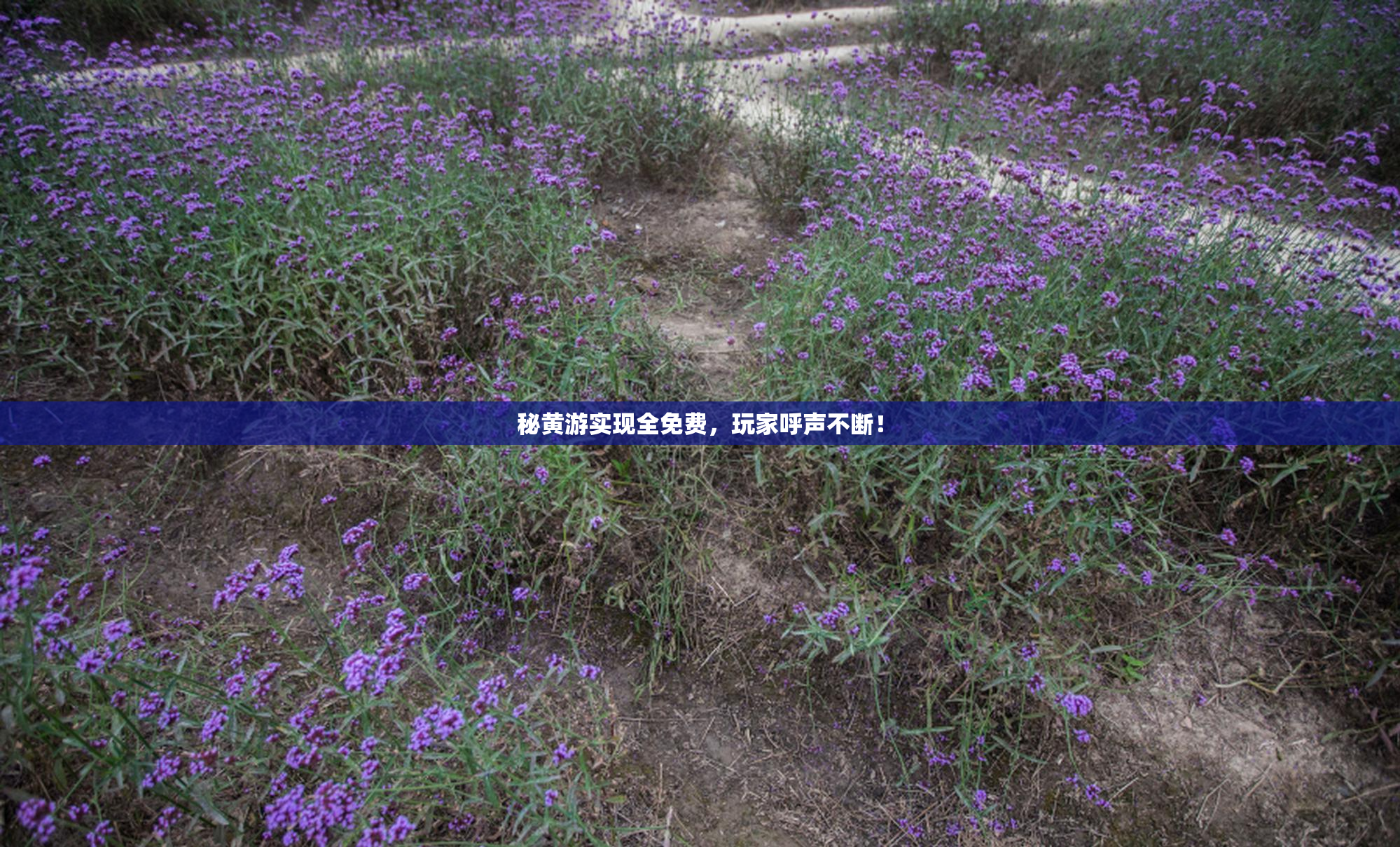秘黄游实现全免费，玩家呼声不断！