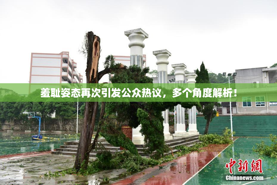 羞耻姿态再次引发公众热议，多个角度解析！