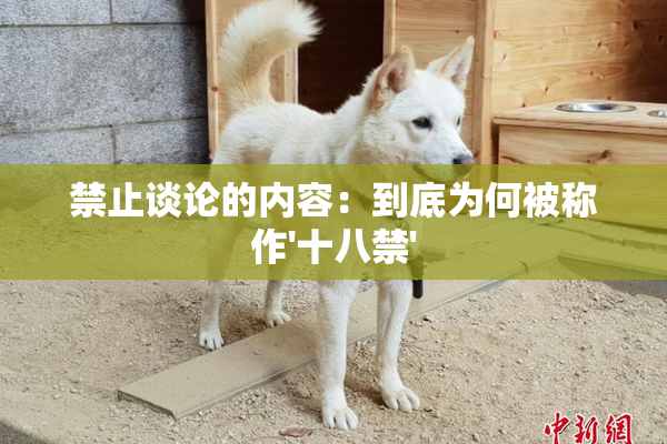 禁止谈论的内容：到底为何被称作'十八禁'