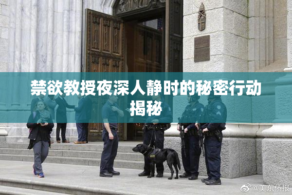 禁欲教授夜深人静时的秘密行动揭秘