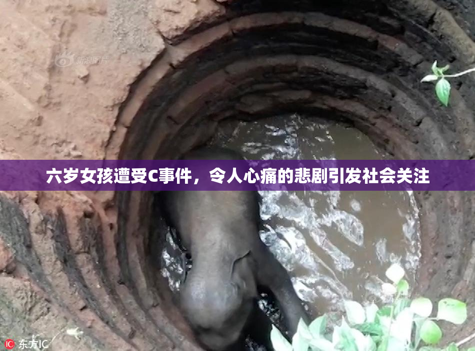六岁女孩遭受C事件，令人心痛的悲剧引发社会关注