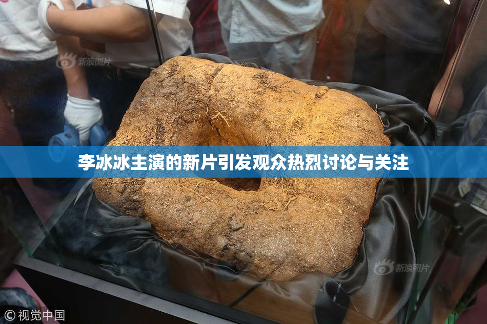 李冰冰主演的新片引发观众热烈讨论与关注