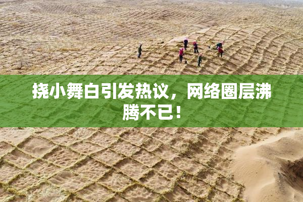 挠小舞白引发热议，网络圈层沸腾不已！