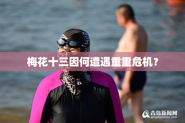 梅花十三因何遭遇重重危机？