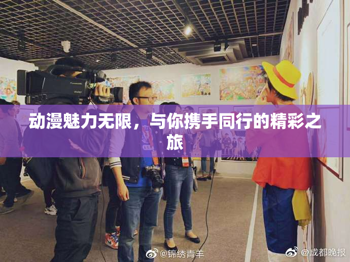 动漫魅力无限，与你携手同行的精彩之旅