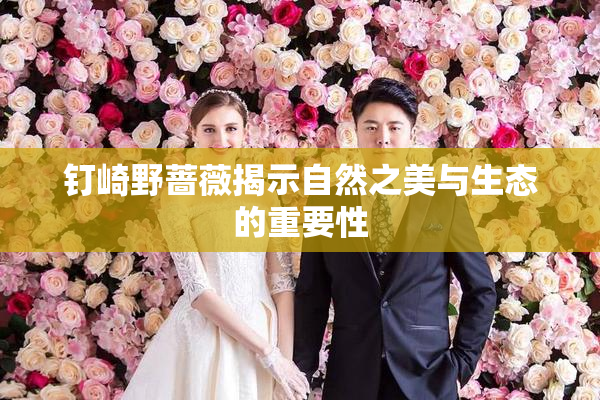 钉崎野蔷薇揭示自然之美与生态的重要性