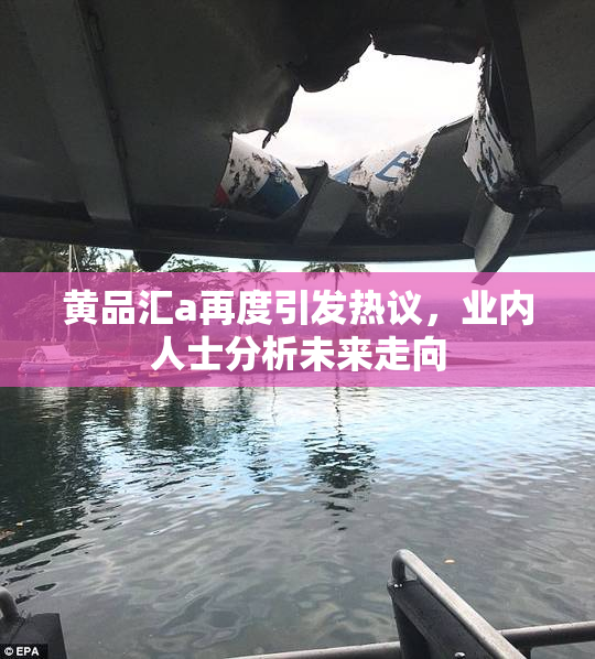 黄品汇a再度引发热议，业内人士分析未来走向