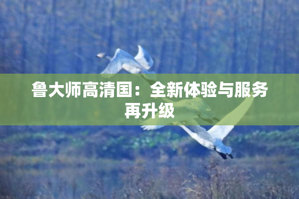 鲁大师高清国：全新体验与服务再升级