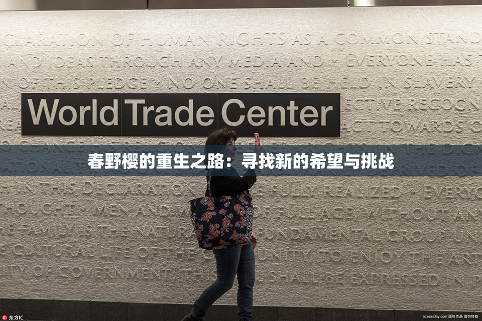 春野樱的重生之路：寻找新的希望与挑战