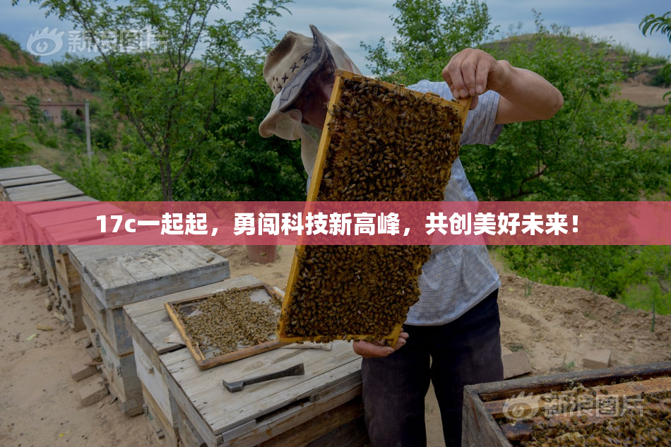 17c一起起，勇闯科技新高峰，共创美好未来！