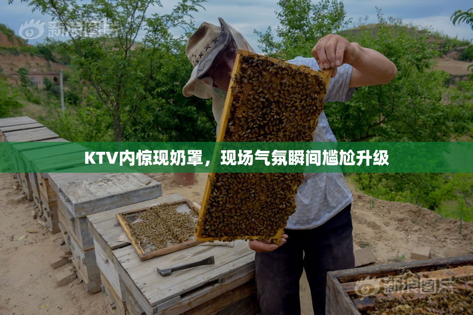 KTV内惊现奶罩，现场气氛瞬间尴尬升级