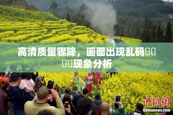 高清质量骤降，画面出现乱码❌‌❌‌现象分析