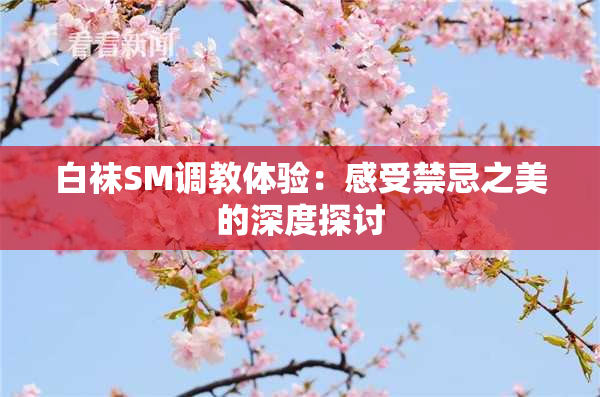白袜SM调教体验：感受禁忌之美的深度探讨