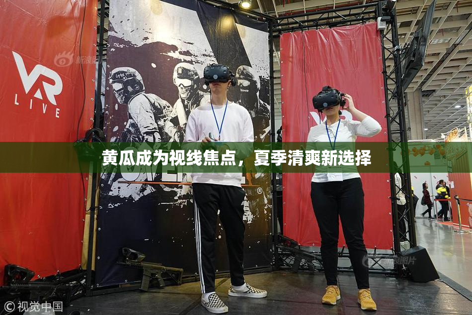 黄瓜成为视线焦点，夏季清爽新选择