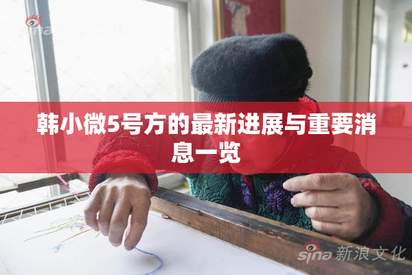 韩小微5号方的最新进展与重要消息一览