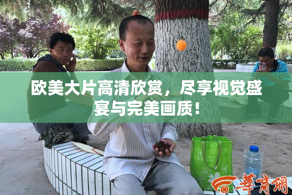 欧美大片高清欣赏，尽享视觉盛宴与完美画质！