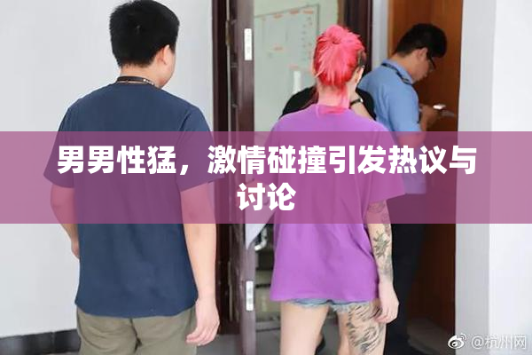 男男性猛，激情碰撞引发热议与讨论