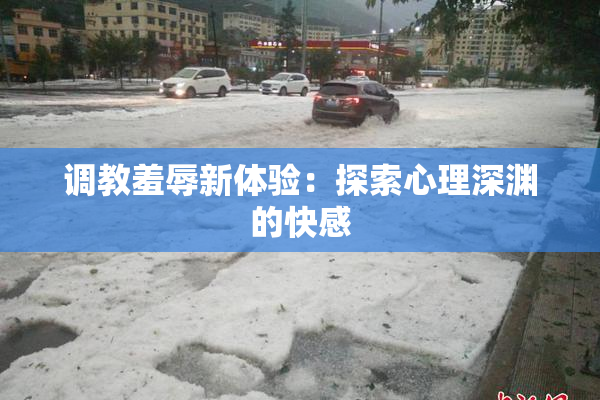 调教羞辱新体验：探索心理深渊的快感