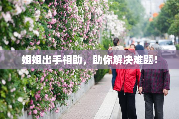 姐姐出手相助，助你解决难题！