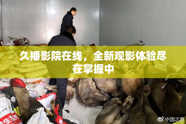 久播影院在线，全新观影体验尽在掌握中