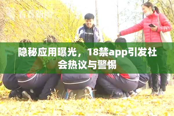 隐秘应用曝光，18禁app引发社会热议与警惕