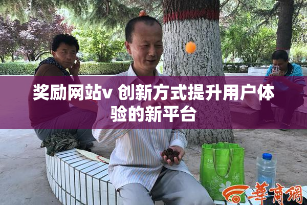 奖励网站v 创新方式提升用户体验的新平台
