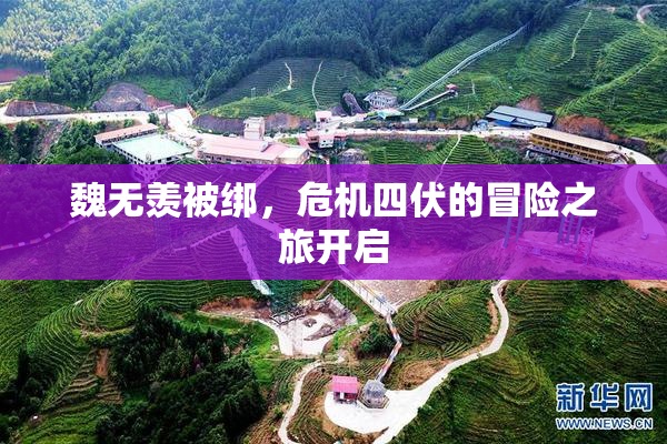 魏无羡被绑，危机四伏的冒险之旅开启
