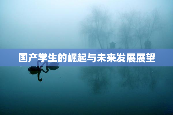 国产学生的崛起与未来发展展望
