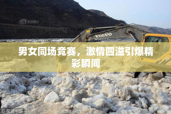男女同场竞赛，激情四溢引爆精彩瞬间