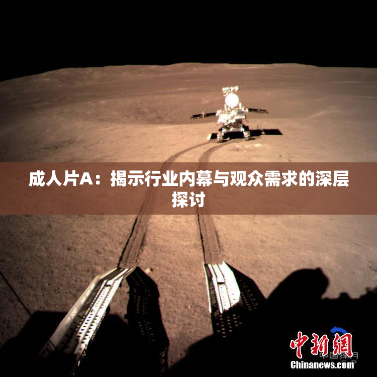 成人片A：揭示行业内幕与观众需求的深层探讨