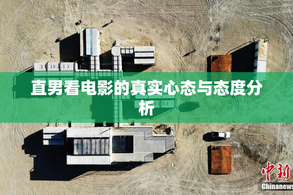 直男看电影的真实心态与态度分析